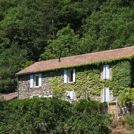 Bed and Breakfast Les Jardins De Lumiere Brusque Екстер'єр фото