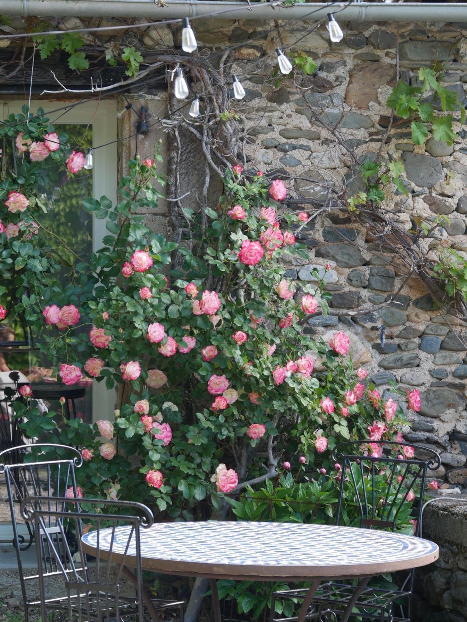 Bed and Breakfast Les Jardins De Lumiere Brusque Екстер'єр фото